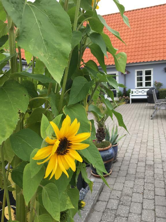 شقة Ebeltoft Centrum المظهر الخارجي الصورة