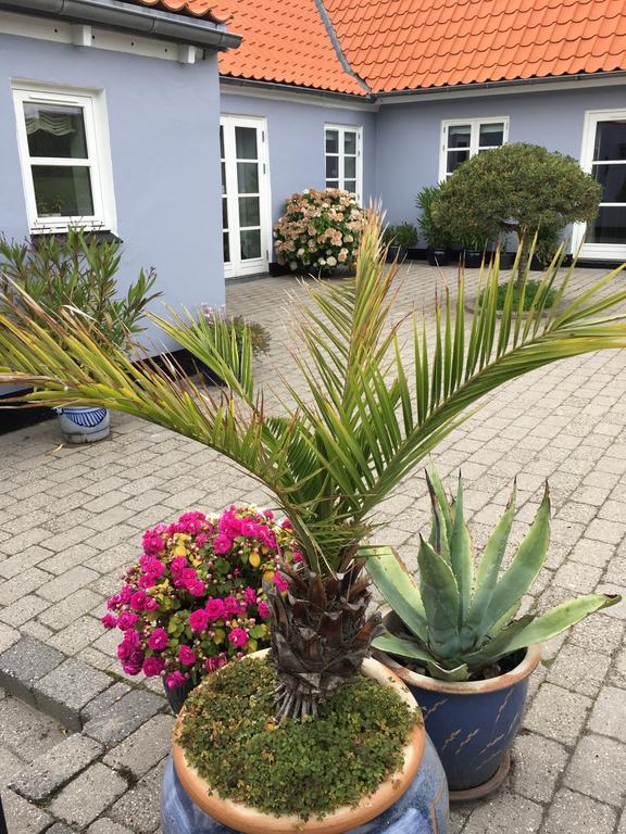 شقة Ebeltoft Centrum المظهر الخارجي الصورة